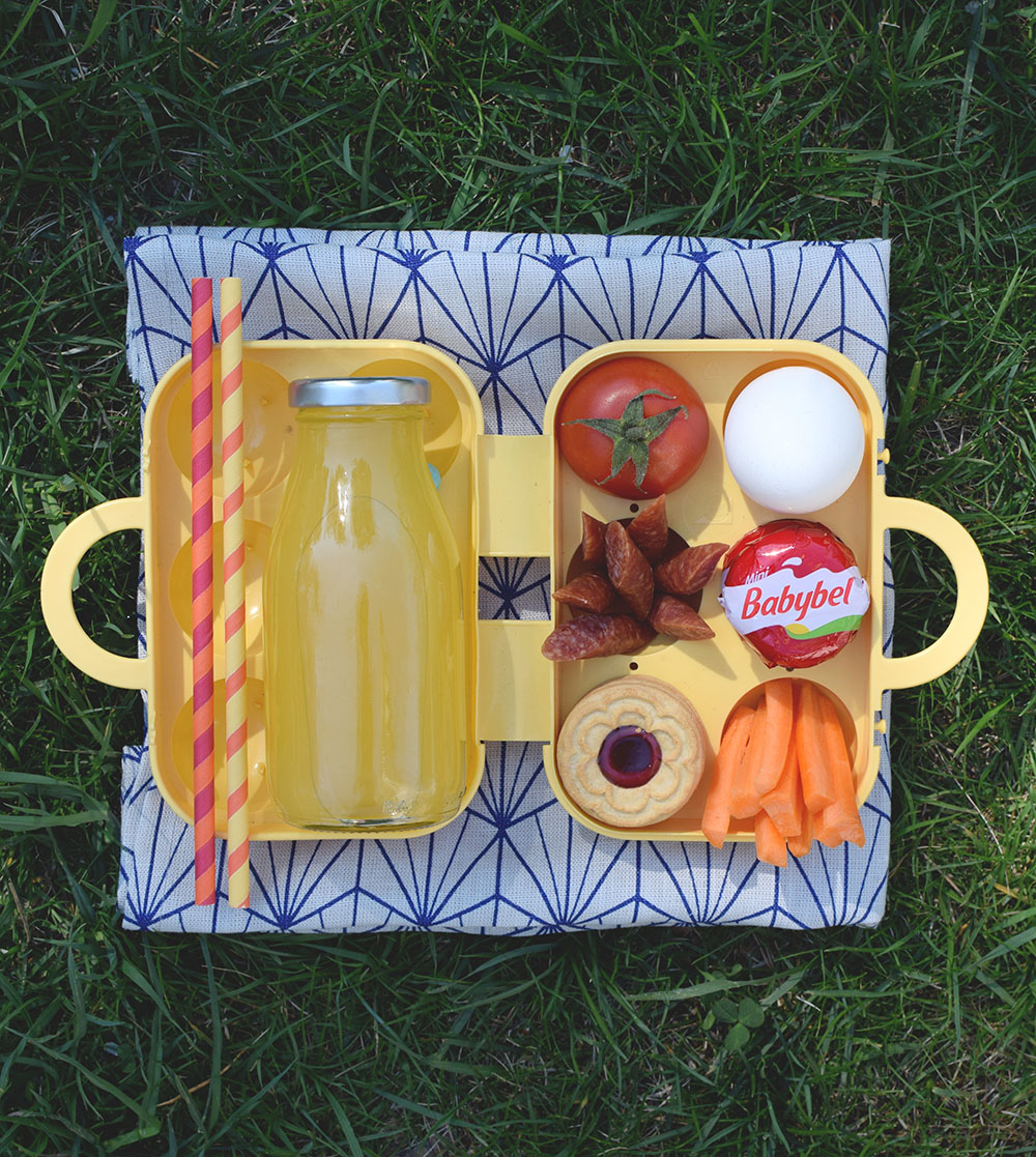 Picknickens Dag